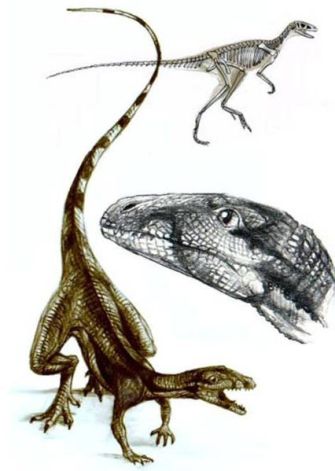 426px-Lagosuchus
